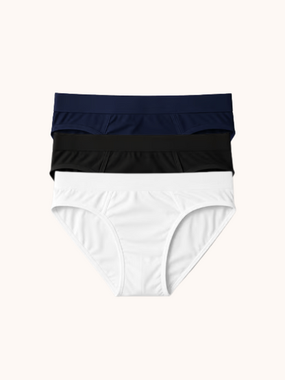 [BUNDLE OF 3] DLSTAR Men Silk Soft Microfibre Briefs Underwear | Soft | Silky | Men Boxers | Comfortable wear