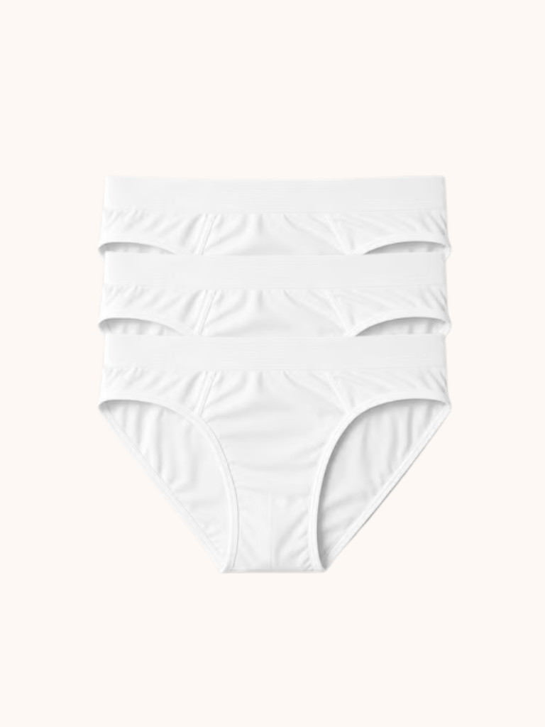 [BUNDLE OF 3] DLSTAR Men Silk Soft Microfibre Briefs Underwear | Soft | Silky | Men Boxers | Comfortable wear