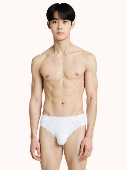 [BUNDLE OF 3] DLSTAR Men Silk Soft Microfibre Briefs Underwear | Soft | Silky | Men Boxers | Comfortable wear