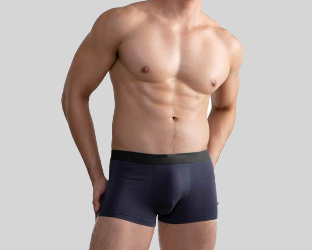 [BUNDLE OF 3] DLSTAR Men Bamboo Anti Bacterial Boxer Underwear | Soft | Antibacterial | Men Boxers | Comfortable wear