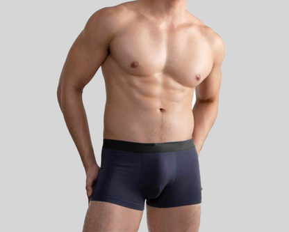 [BUNDLE OF 3] DLSTAR Men Bamboo Anti Bacterial Boxer Underwear | Soft | Antibacterial | Men Boxers | Comfortable wear