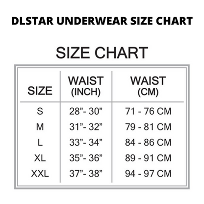 [BUNDLE OF 4] DLSTAR Men Silk Soft Briefs Underwear