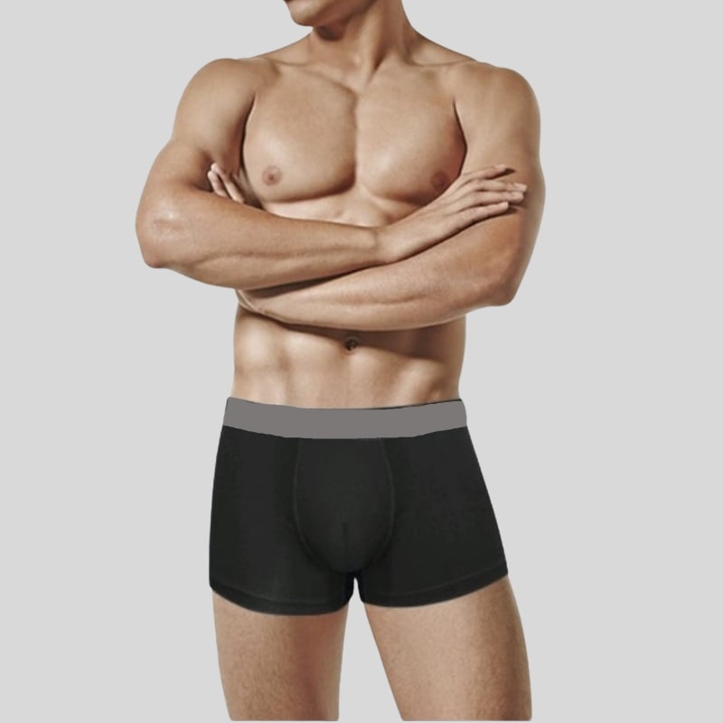 [BUNDLE OF 4] DLSTAR Men Silk Soft Boxer Underwear