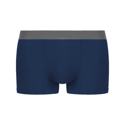 [BUNDLE OF 4] DLSTAR Men Silk Soft Boxer Underwear